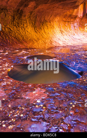 Die U-Bahn entlang des North Creek, Zion Nationalpark, Utah Stockfoto