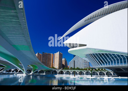 Spanien, Valencia, Ciudad de Las Artes y Las Ciencias, die Stadt der Künste & Wissenschaften, detail Palau de Les Arts Reina / Königin Sofia Stockfoto