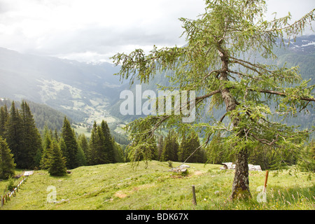 Großglockner Hochalpenstraße in Österreichische Alpen Stockfoto