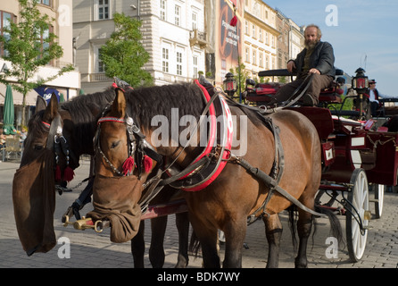 Pferdekutschen warten auf Kunden auf dem Hauptplatz der polnischen Stadt Krakau Stockfoto