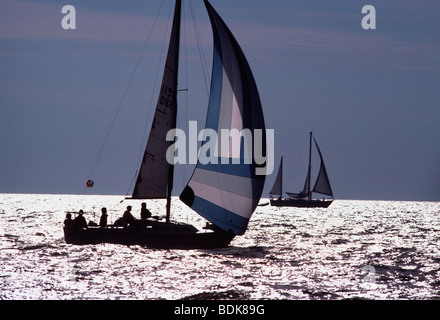 Segelboot auf Long Island Sound mit spinniker Stockfoto