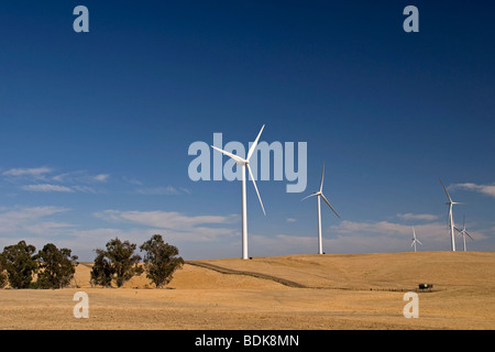 Shiloh-Wind-Projekt in der Nähe von Rio Vista, Kalifornien. Stockfoto