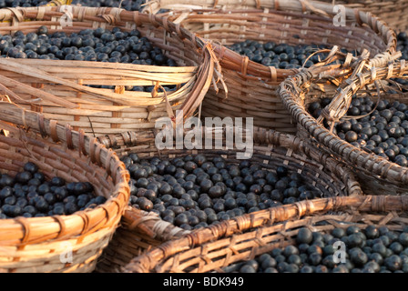 Körbe mit Acai-Beeren zum Verkauf an die Feira Do Acai, Port Belem, Para, Brasilien im Querformat Stockfoto