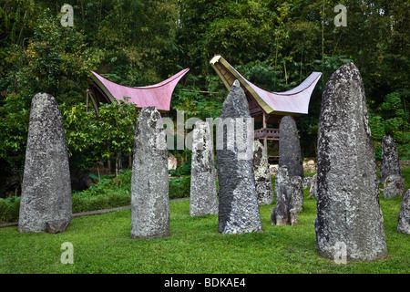 Indonesien, Sulawesi, Tana Toraja Bereich, Bori Dorf Stein Megalith-Grabstätte Stockfoto