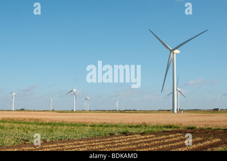 ein Fenland Windpark vor blauem Himmel mit Ackerland und Kulturen im Vordergrund Stockfoto