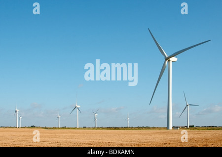 ein Fenland Windpark vor blauem Himmel Stockfoto