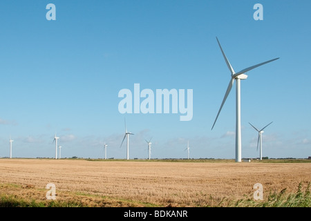 ein Fenland Windpark vor blauem Himmel Stockfoto