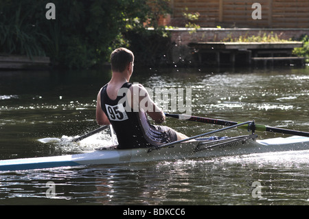 Rudern am Fluß Avon an der Warwick Regatta, Warwickshire, England, UK Stockfoto