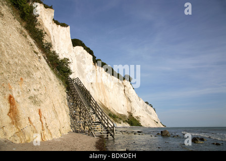 Die steilen Kreidefelsen an der Ostküste von Møn, Møns Klint, Dänemark mit der lange und steile Treppe zu den oberen. Møn oder Moen. Stockfoto