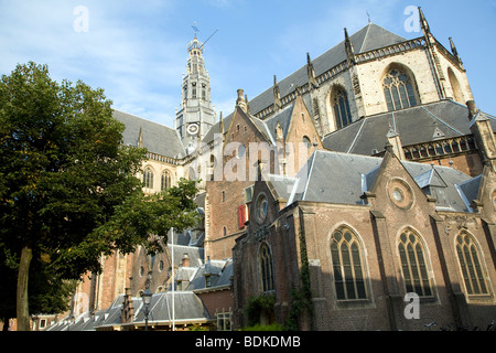 St. Bavo Kathedrale Haarlem Holland Stockfoto