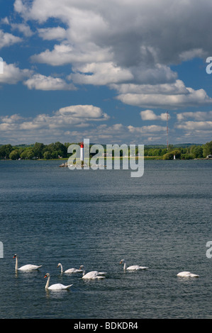 Leuchtturm und Höckerschwäne Schwimmen im Salz Punkt Presquile Provincial Park Lake Ontario in der Nähe von Brighton Kanada Stockfoto