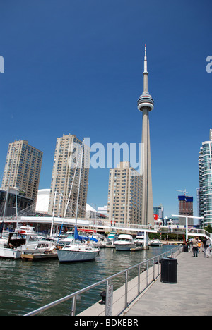 Skyline und Harbourfront, Toronto, Ontario, Kanada Stockfoto