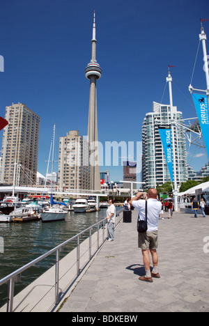 Skyline und Harbourfront, Toronto, Ontario, Kanada Stockfoto