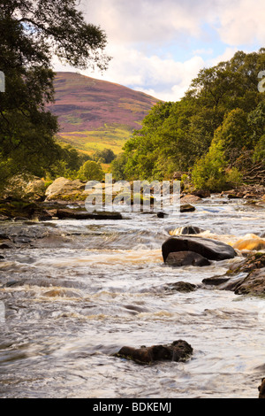 Der Fluss North Esk fließt von Loch Lee in Glen Esk., Angus, Schottland Stockfoto