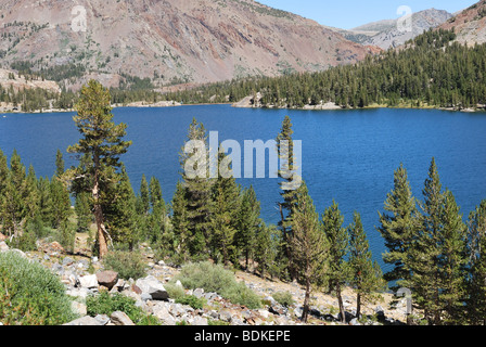 Tenaya Lake in der Nähe der Tioga Pass, Yosemite-Nationalpark, Kalifornien Stockfoto