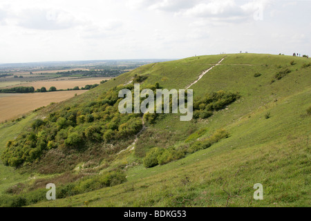 Dunstable Downs, einer Kreide Böschung in Chilterns, Bedfordshire, UK Stockfoto