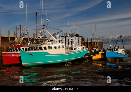 Bunte Boote auf die Bay Of Fundy Meeresboden bei Ebbe auf dem Kai an Alma New Brunswick Stockfoto