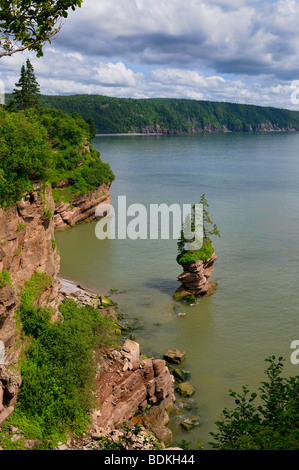 Blumentopf rock und Sea Cliff Küste bei fownes Head Aussichtspunkt auf der Fundy Trail parkway New Brunswick Stockfoto