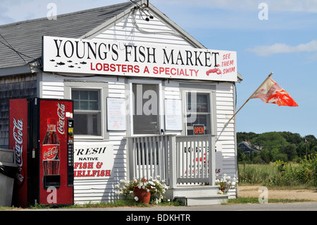 Youngs Fischmarkt am Rock Harbor, Orleans, Cape Cod, USA. Stockfoto