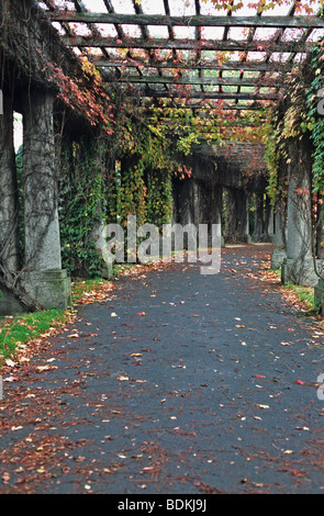 Pergola in der Nähe von Centennial Hall im Herbst, Wroclaw, Polen Stockfoto