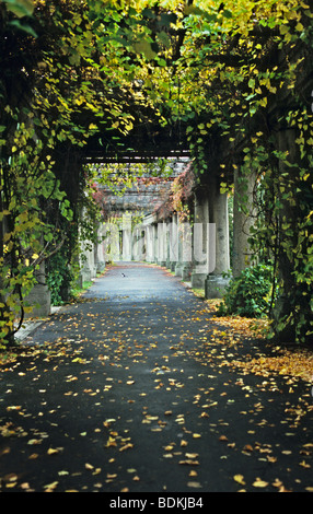 Pergola in der Nähe von Centennial Hall im Herbst, Wroclaw, Polen Stockfoto