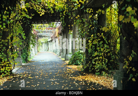 Pergola in der Nähe von Centennial Hall im Herbst, Wroclaw, Polen Stockfoto