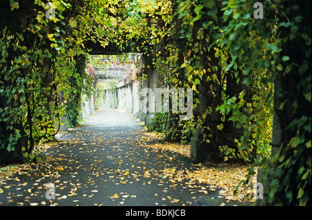 Pergola in der Nähe von Centennial Hall im Herbst, Wroclaw, Polen Stockfoto