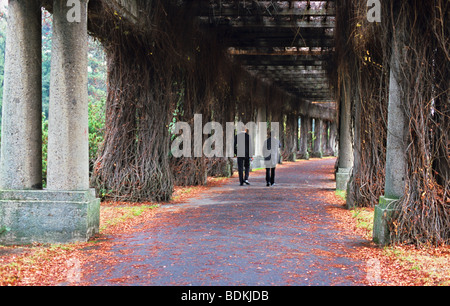 Pergola in der Nähe von Centennial Hall im Herbst, Wroclaw, Polen Stockfoto