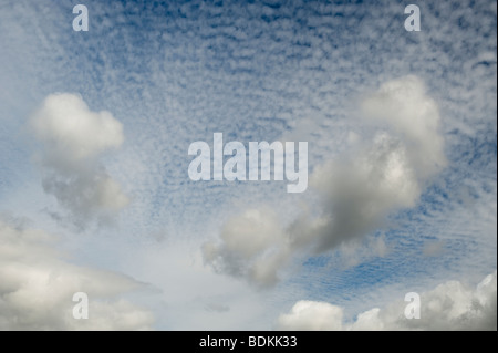 Altocumulus Undulatus Wolken Stockfoto