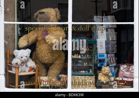 Teddybär Schaufenster, Ludlow, Shropshire, England Stockfoto