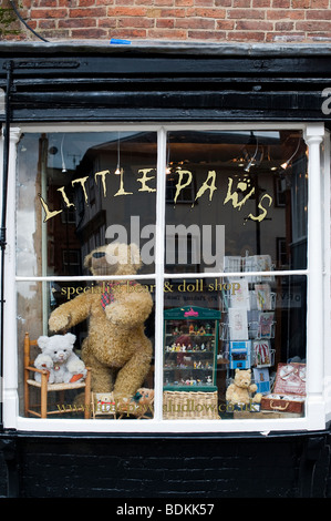Teddybär Schaufenster, Ludlow, Shropshire, England Stockfoto