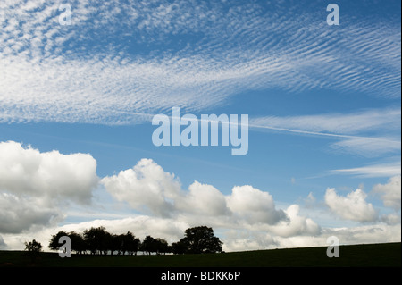 Ländliche Shropshire-Landschaft in der Nähe von Ludlow, Silhouette Bäume und bewölkten blauen Sommerhimmel. UK Stockfoto