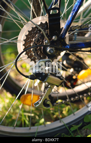 Zyklus-Rad mit Speichen, Kette und Schaltung Mechanismus, Sommer Hintergrund unscharf Stockfoto