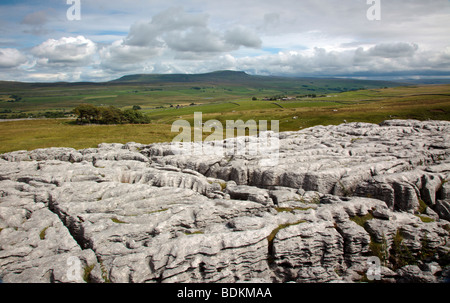 Pen-y-Gent aus dem Kalkstein Pflaster auf Ingleborough in den Yorkshire Dales England UK Stockfoto