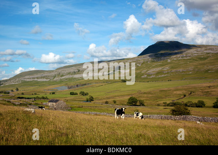 Ingleborough Blick über das Doe-Tal von Twistleton in den Yorkshire Dales England UK Stockfoto