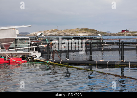 Fischzucht mit Käfig-Systemen Stockfoto