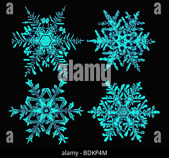 Fotografiert von Wilson Alwyn "Schneeflocke" Bentley zeigt sechseckige Symmetrie und dendritischen Muster Schneeflocken Stockfoto