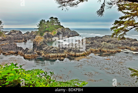 Wild Pacific Trail, Vancouver Island, British Columbia, Kanada Stockfoto