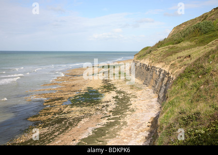 Klippen und Strand von Port-En-Bessin, Normandie, Frankreich. Stockfoto