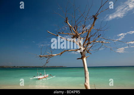 Indonesien, Lombok, Gili Air, weiß und blau bemalte Auslegerboot im idyllischen Aquamarine Meer vor Anker Stockfoto