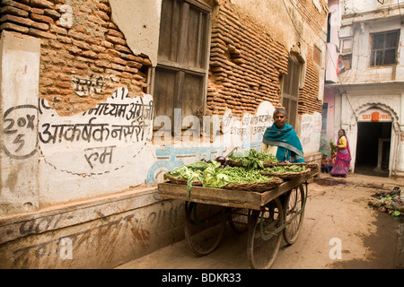 Ein Mann verkauft Gemüse aus einem Handwagen in der Stadt von Varanasi, Indien. Er bewegt sich durch die engen Gassen mit seinen Handwagen. Stockfoto