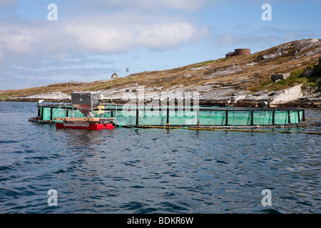 Fischzucht mit Käfig-Systemen Stockfoto