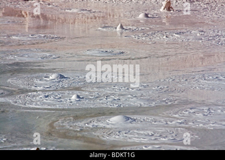 Bursting Bubbles von Schlamm, Fountain Paint Pots Trail, Yellowstone-Nationalpark, USA Stockfoto