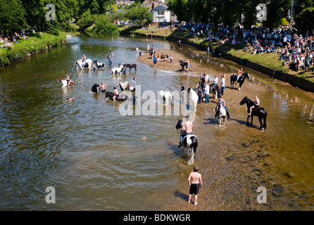 Appleby Pferd in Cumbria Stockfoto