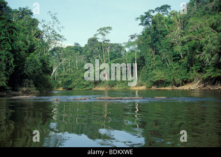 Guyana, Amerika, Umgebung von georgetown Stockfoto