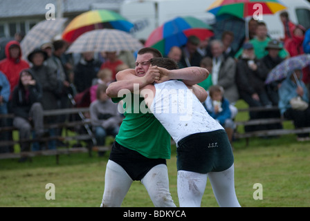 Traditionelle Sportarten wie Cumberland wrestling statt auf der Grasmere Show Stockfoto