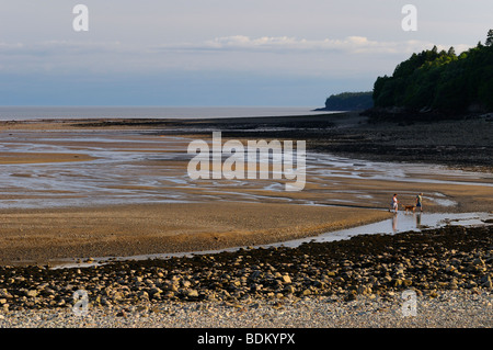 Paar mit Hund kommt mit Tide auf breiten Strand der Bucht von Fundy Ufer in Alma New Brunswick Stockfoto