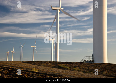 Windkraftanlagen Sie "Windpark" im Brachland Weizenfeld. Stockfoto