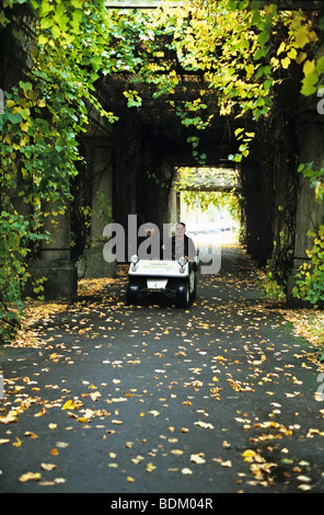 Pergola in der Nähe von Centennial Hall im Herbst, Wroclaw, Polen Stockfoto