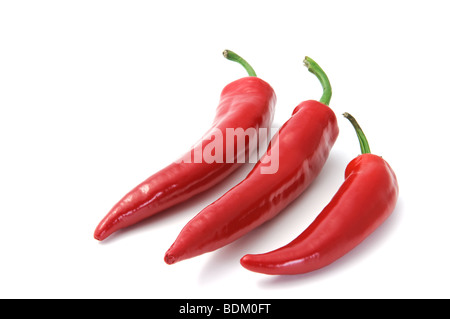 Hot Chili Pepper isoliert auf weiss Stockfoto